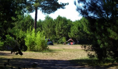 Camping Acacia1